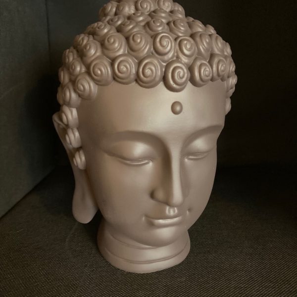 Thaise Boeddha hoofd